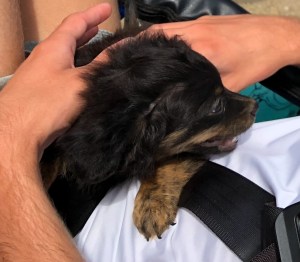 E59EB8C6-D50B-4D0E-B968-03FD5B545F5D