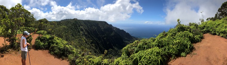 D869F50E-85A8-486F-BDCA-5570F265CC90